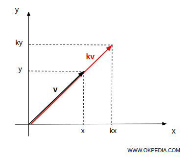multiplicación por un escalar de un vector