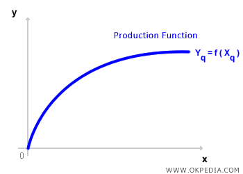 FUNCIÓN DE PRODUCCIÓN